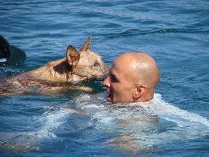 Chad Brockman of Standup Paddle AZ and his cool dog, Red.