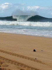 Pipeline - December 2011