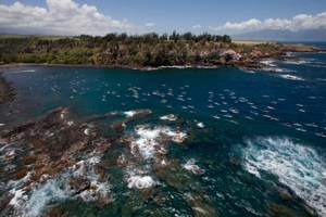 The start of the 2013 Olukai Ho'olaule'a at Maliko Gulch