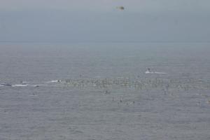 Connor baxter, Dave Kalama, Kai Lenny, Suzie Cooney and all the elite SUP racers are in the front ready for a challenging run.