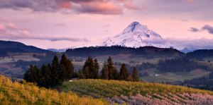 hood_river_or_summer_nature_ss