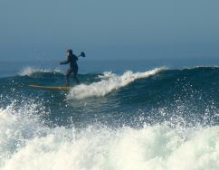 This chick is on top of the world with my new Naish  2015 Holua